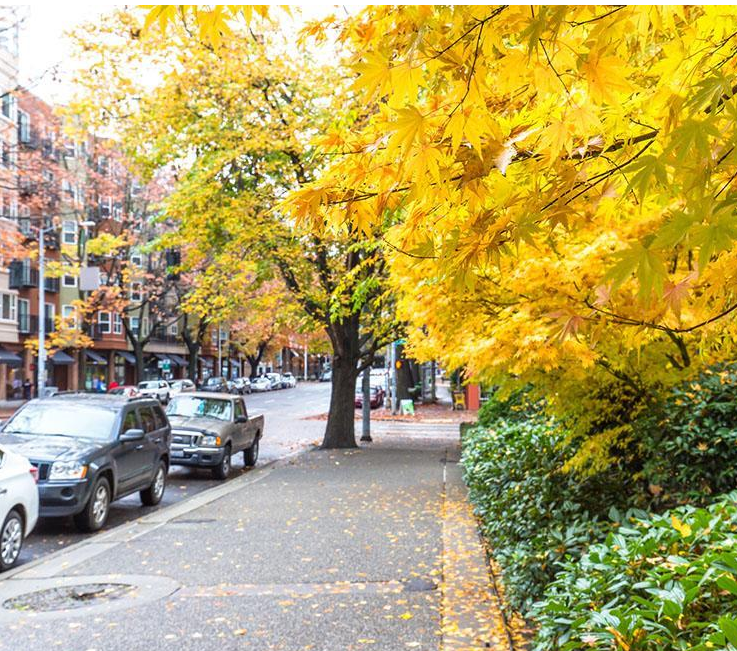 街道掃地機哪個品牌好.png 街道掃地機哪個品牌好.png